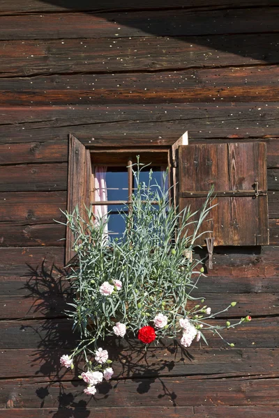 Dettaglio capanna con fiori — Foto Stock