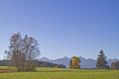 Allgaeu - Güney Almanya pastoral manzara