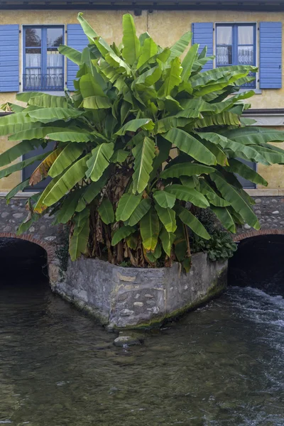 与香蕉植株的房子详细 — 图库照片