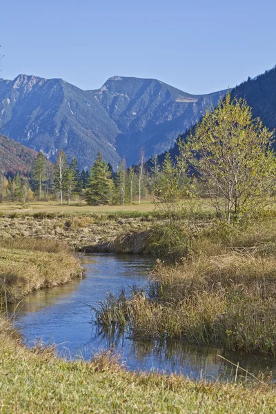 In Graswang Valley — Stock Photo, Image