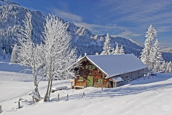 Wasensteiner Alm w zimie — Zdjęcie stockowe