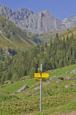 Frosnitz valley East Tyrol'deki / daki