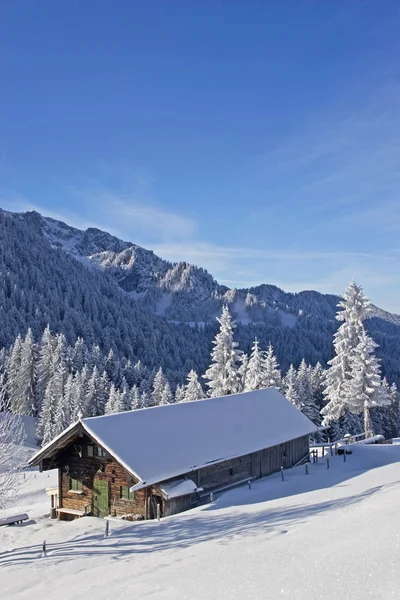 冬の Wasensteiner Alm — ストック写真