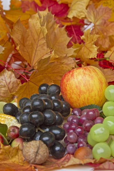 Herfst stilleven — Stockfoto