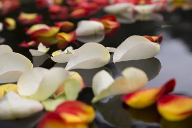 Detay düğün araba çiçek yaprakları ile