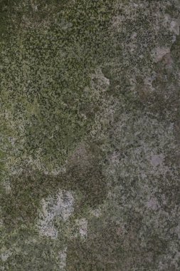 Arka plan - yosunlu ev duvar