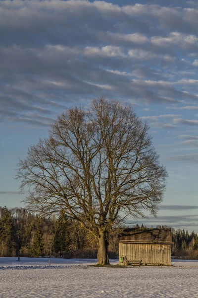 Inverno em Isarwinkel — Fotografia de Stock