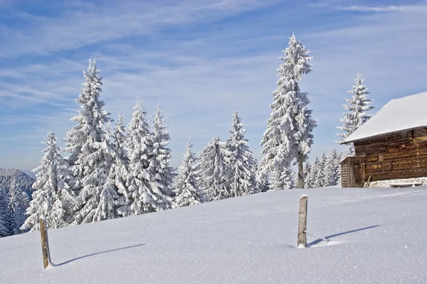 Wasensteiner Alm in de winter — Stockfoto