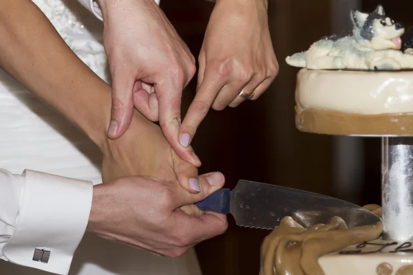 Cutting the wedding cake — Stock Photo, Image