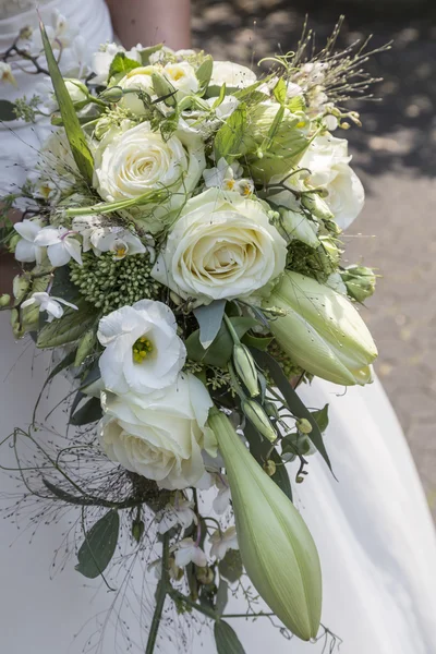 Tutto in bianco — Foto Stock