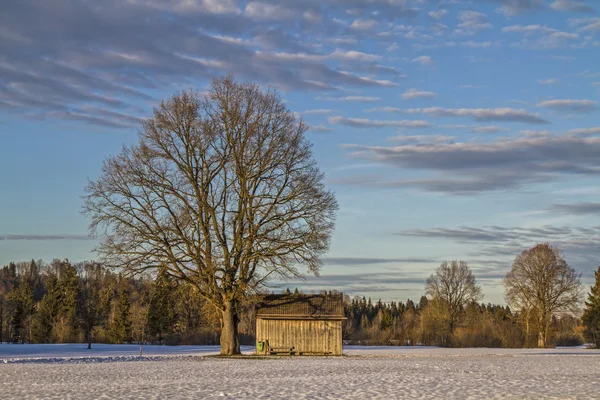 Inverno em Isarwinkel — Fotografia de Stock