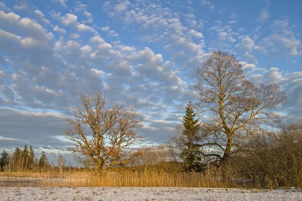 Winter in Isarwinkel — Stock Photo, Image