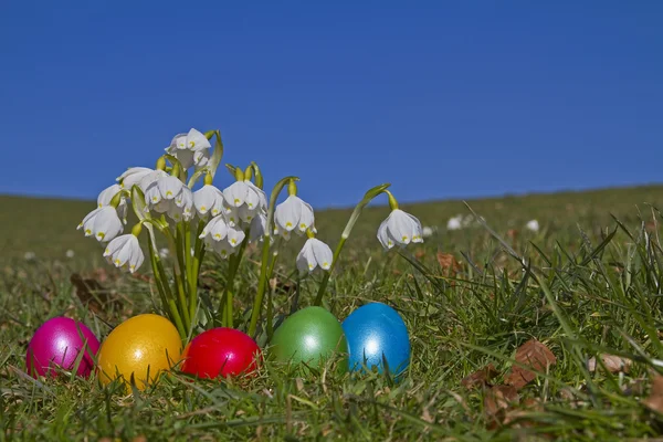 Coloridos huevos de Pascua y flores de primavera — Foto de Stock