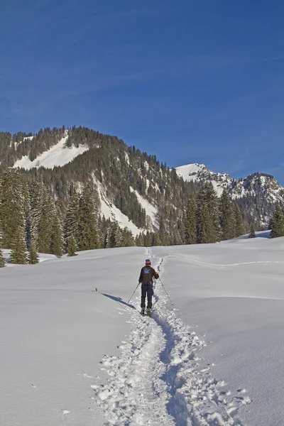 Skitour am Seeharkreuz — Stockfoto