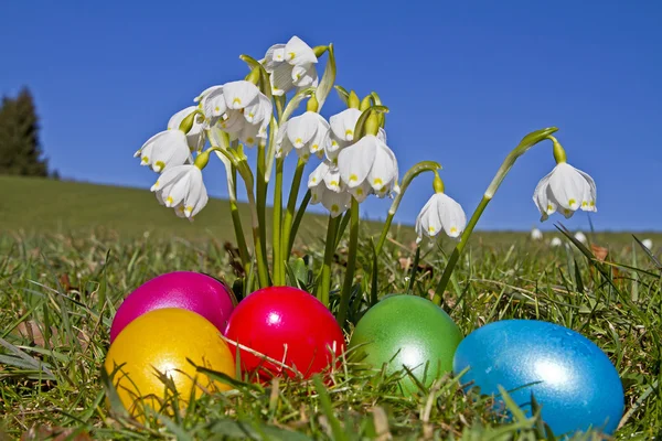 Πολύχρωμα Πασχαλινά αυγά και ανοιξιάτικα λουλούδια — Φωτογραφία Αρχείου