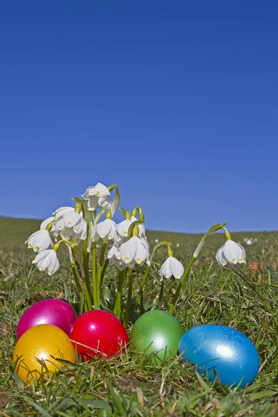 Coloridos huevos de Pascua y flores de primavera — Foto de Stock