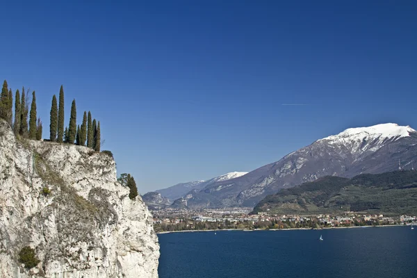 Ciprés en el lago de Garda — Foto de Stock