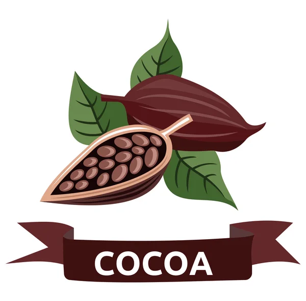 Cocoa — Stock Vector