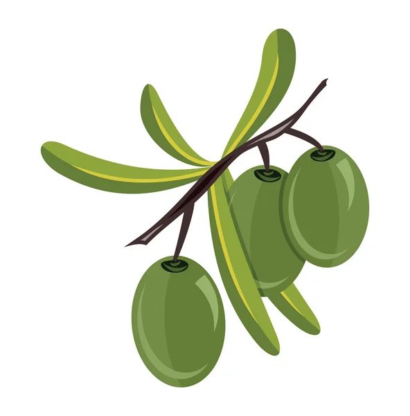 Olives — Image vectorielle