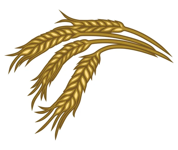 Vector illustrations of the wheat — Stock Vector