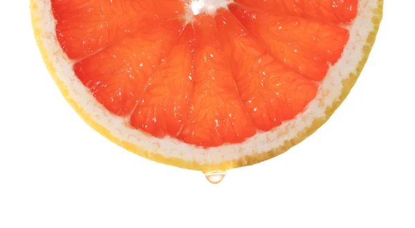 Plátek čerstvého červeného grapefruitu — Stock fotografie