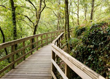 Mao Nehri üzerinde ahşap köprü