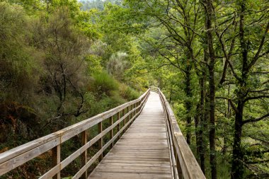 Mao Nehri üzerinde ahşap köprü