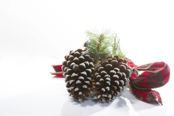 christmas card composition with pine cones