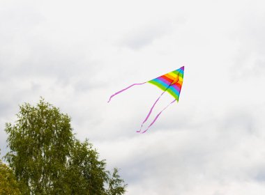 Gökyüzünde çok renkli bir uçurtma bulutların arka planında uçuyor.