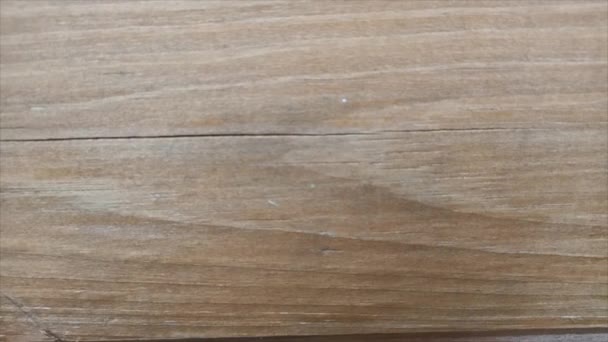 Textura de madeira em movimento, placa — Vídeo de Stock