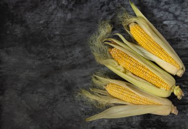 Koyu arkaplanda üç mısır koçanı, kopyalama alanı