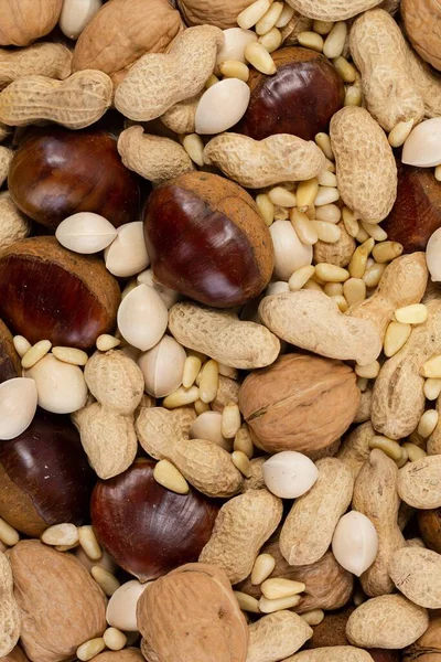 mix of pine nuts, walnuts, ginkgo nuts, chestnuts, peanuts