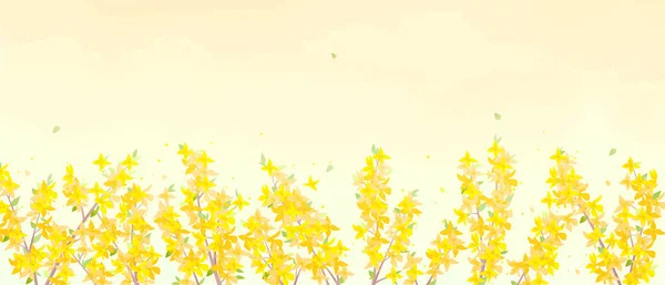 黄色的Forsythia背景矢量插图 — 图库矢量图片