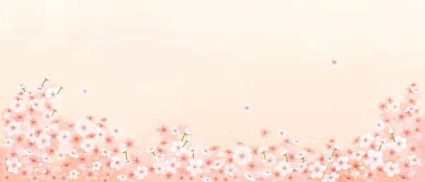 桜ベクトルイラスト背景 — ストックベクタ