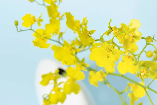 Жовта Квітка Вазі Синій Фон — стокове фото