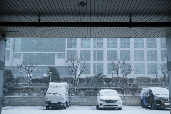 Cars Covered Snow Parking Lot — Stock Photo, Image