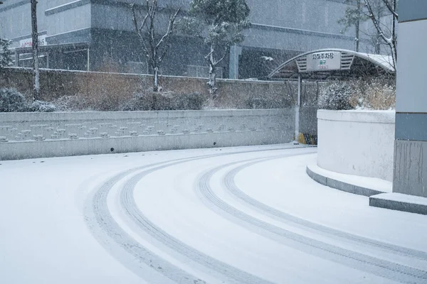 Сліди Автомобільних Коліс Снігу — стокове фото