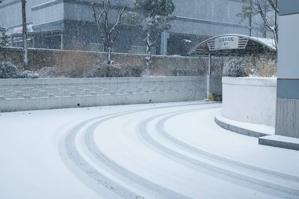 Traços Rodas Carro Neve — Fotografia de Stock