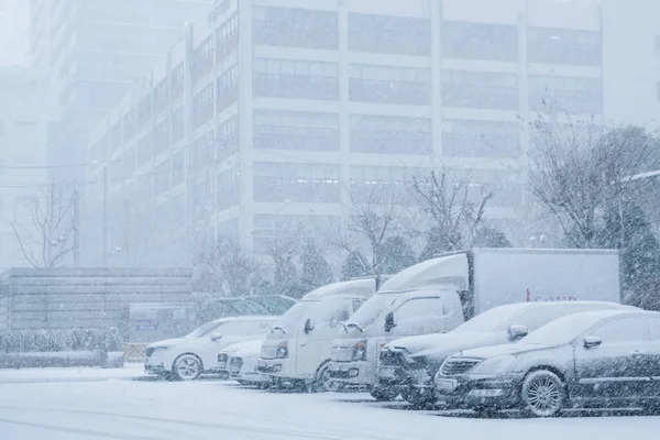 Carros Cobertos Neve Estacionamento — Fotografia de Stock