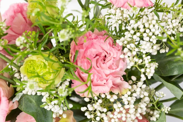 Ροζ Λουλούδι Λευκό Φόντο — Φωτογραφία Αρχείου