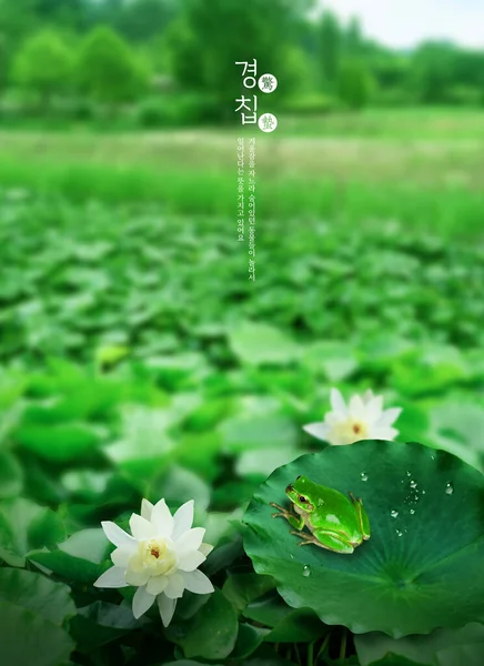 March Holidays Korea Gyungchip Day Which Insects Appear Holes Earth — Stock Photo, Image