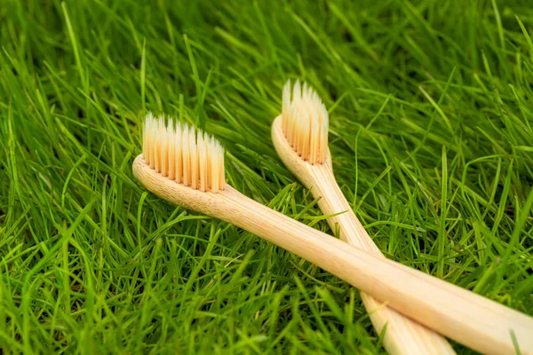 Null Abfall Umweltfreundliche Bambuszahnbürste Gras Liegend — Stockfoto