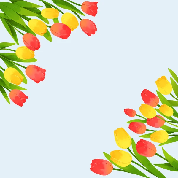 Flower Frame Yellow Red Tulip Flower — Stock Vector