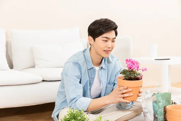 Asyalı Genç Adam Evde Çiçek Dikiyor — Stok fotoğraf