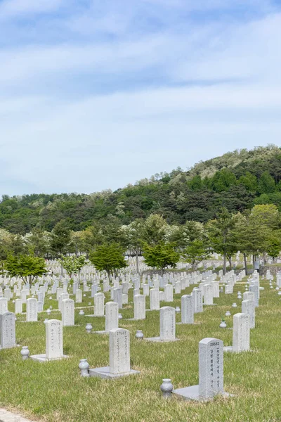 Wizyta Cmentarzu Narodowym Seulu Korea Dniu Pamięci Nagrobki — Zdjęcie stockowe