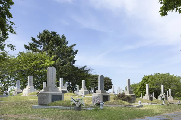 Visitar Cementerio Nacional Seúl Corea Día Memorial Lápidas —  Fotos de Stock