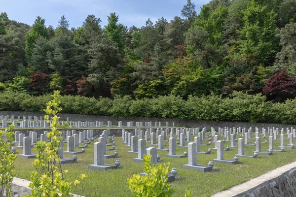 Koreański Flaga Trzepotanie Wiatr — Zdjęcie stockowe