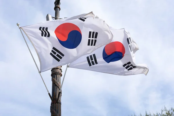 Bandera Coreana Ondeando Viento — Foto de Stock