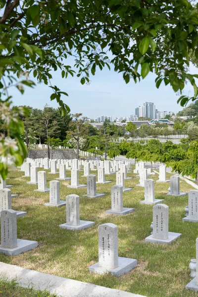 Visitar Cementerio Nacional Seúl Corea Día Memorial Lápidas —  Fotos de Stock