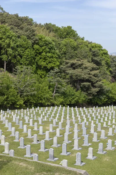 Wizyta Cmentarzu Narodowym Seulu Korea Dniu Pamięci Nagrobki — Zdjęcie stockowe